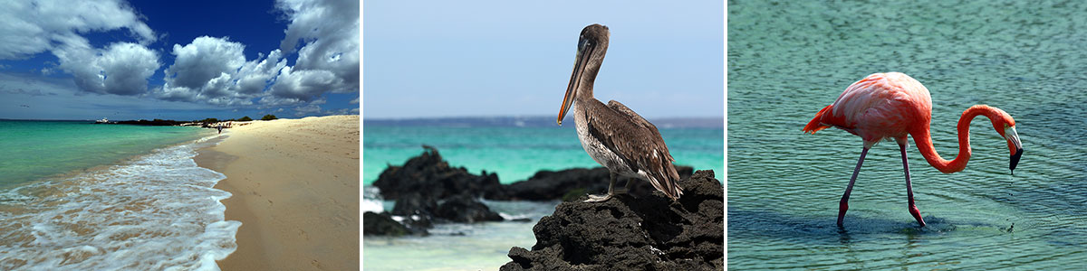 Galapagos