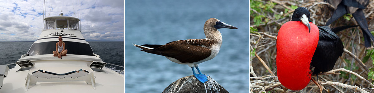 Galapagos