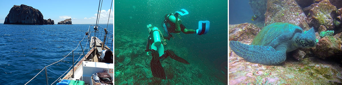 Santa Cruz Tauchen An Den Gordon Rocks Galapagos Inseln