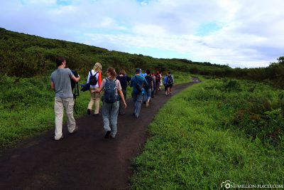 The trail to the crater