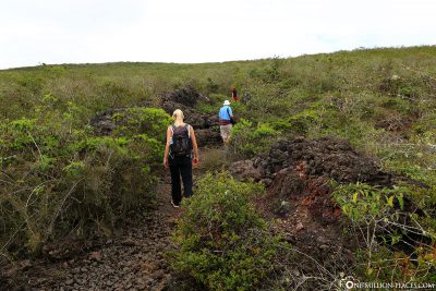 The way to the crater rim