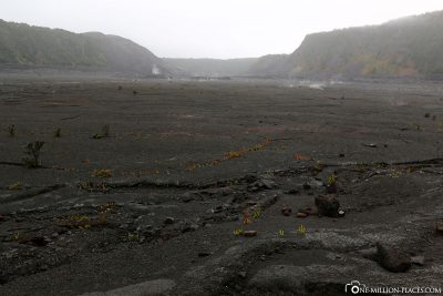 Der Kilauea Iki Krater