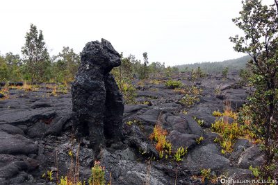 Cat figure from lava