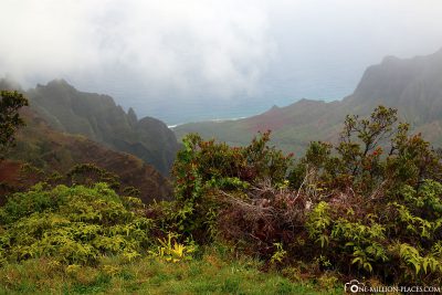 View of the Napali Coast