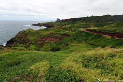The coastal road 340 in Maui