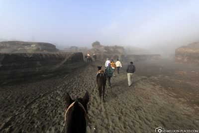 With horses to Mount Bromo