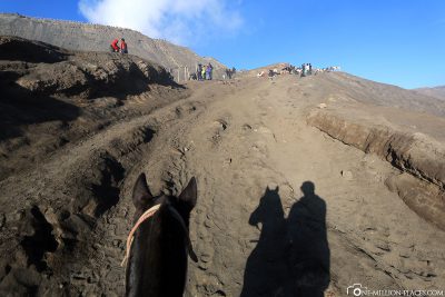 With horses to Mount Bromo