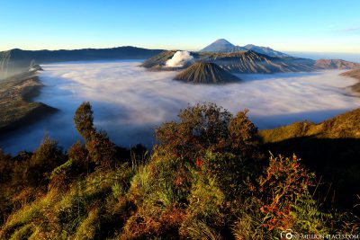 Der Mount Bromo, Mount Batok und der Stratovulkan Gunung Semeru