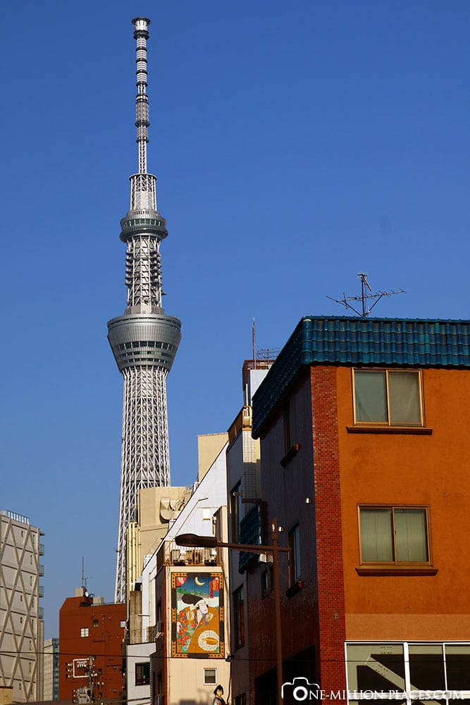 Tokyo Skytree, Japan, Sehenswürdigkeiten, Auf eigene Faust, Stadtbesichtigung, Reisebericht