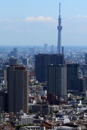 Blick auf den Tokyo Skytree