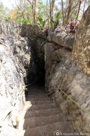 Down the stairs to the Cenote