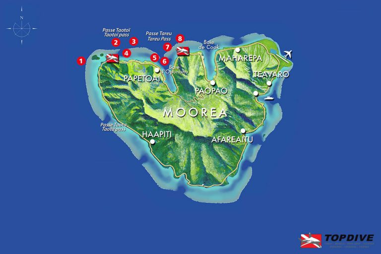Moorea Topdive Center & Diving with sharks (French Polynesia)