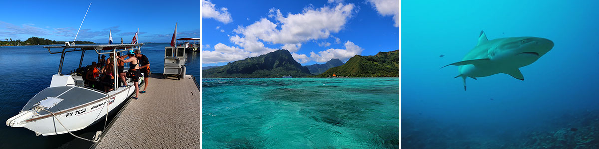 Moorea