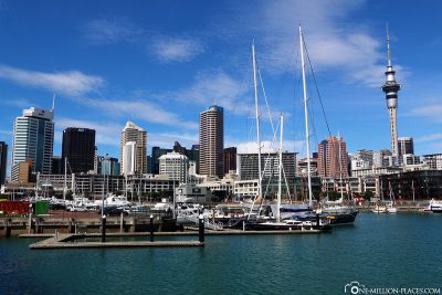 The Viaduct Harbour