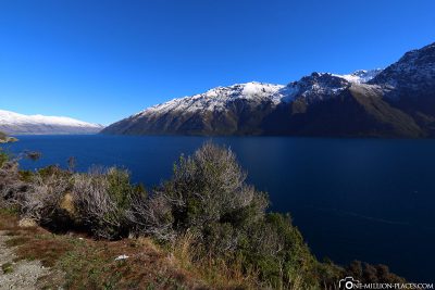 Die Lake Wakatipu