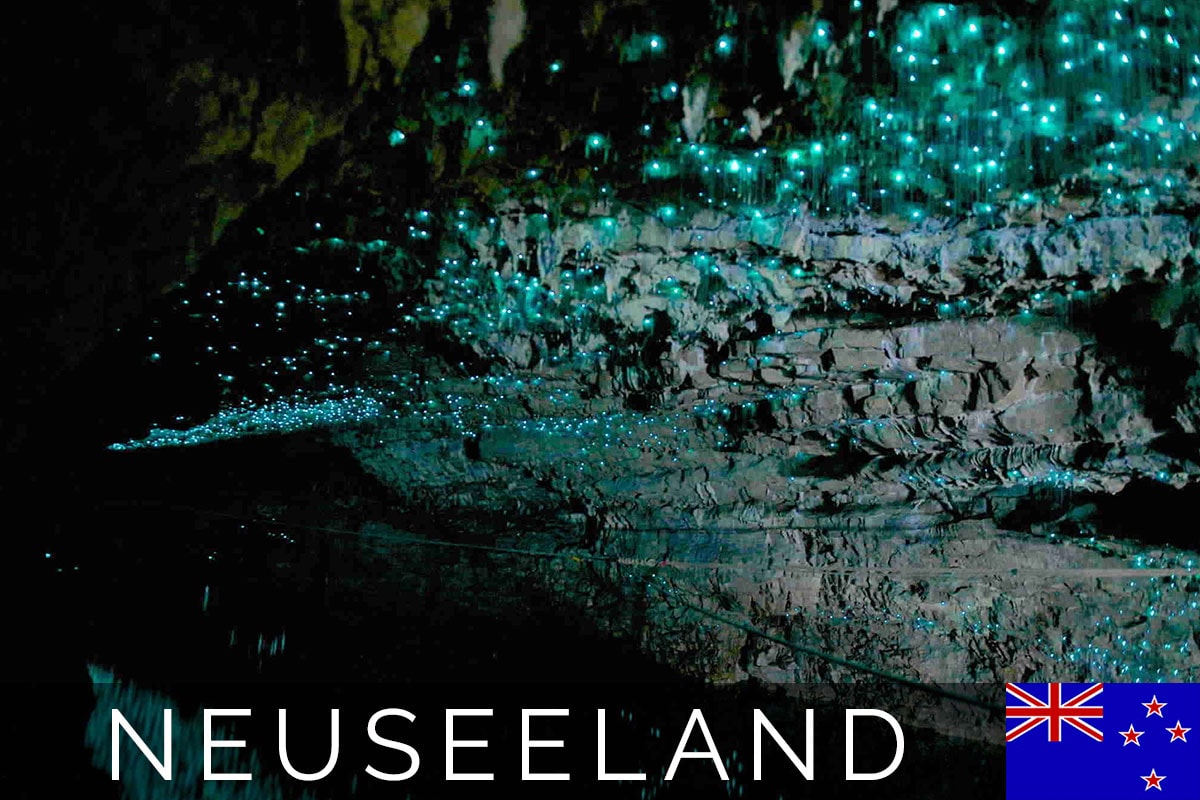 Waitomo Glühwürmchenhöhle Titelbild