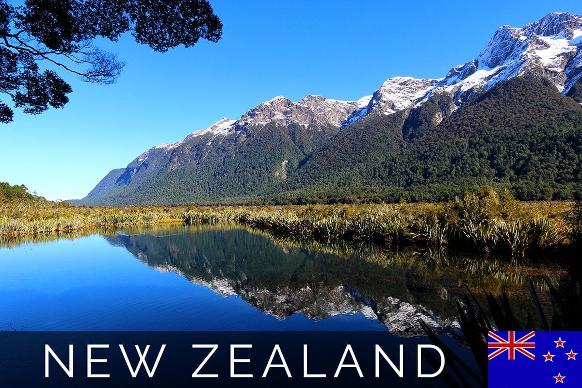 New Zealand Road Milford Sound Blog Post