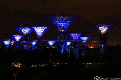The Super Trees in Gardens by the Bay