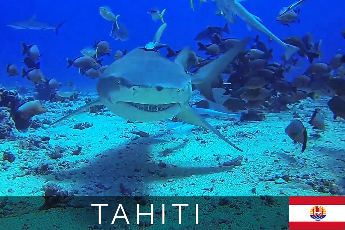 Tahiti Tauchen Topdive Titelbild