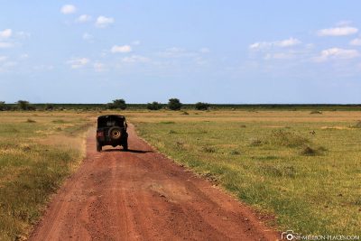 Start of the game drive
