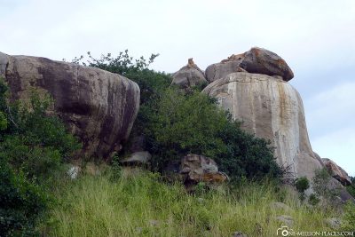 The Lion's Rock