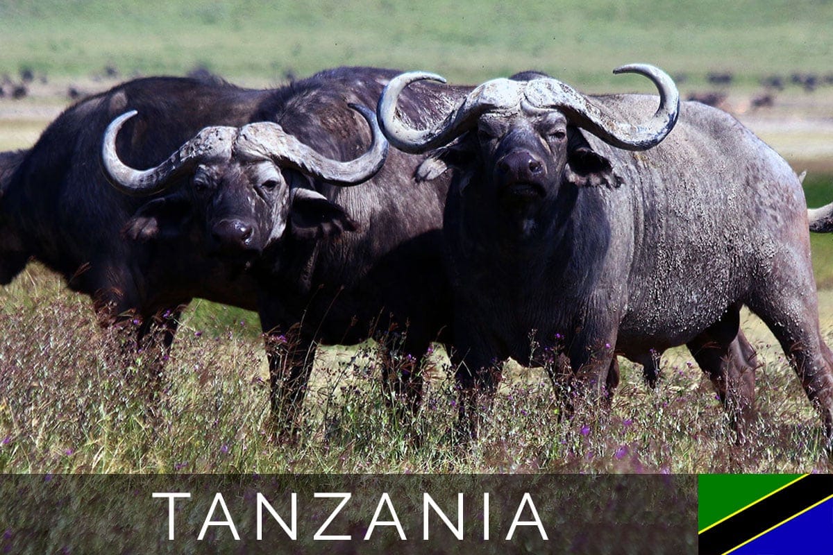 Tanzania Ngorongoro Blog Post