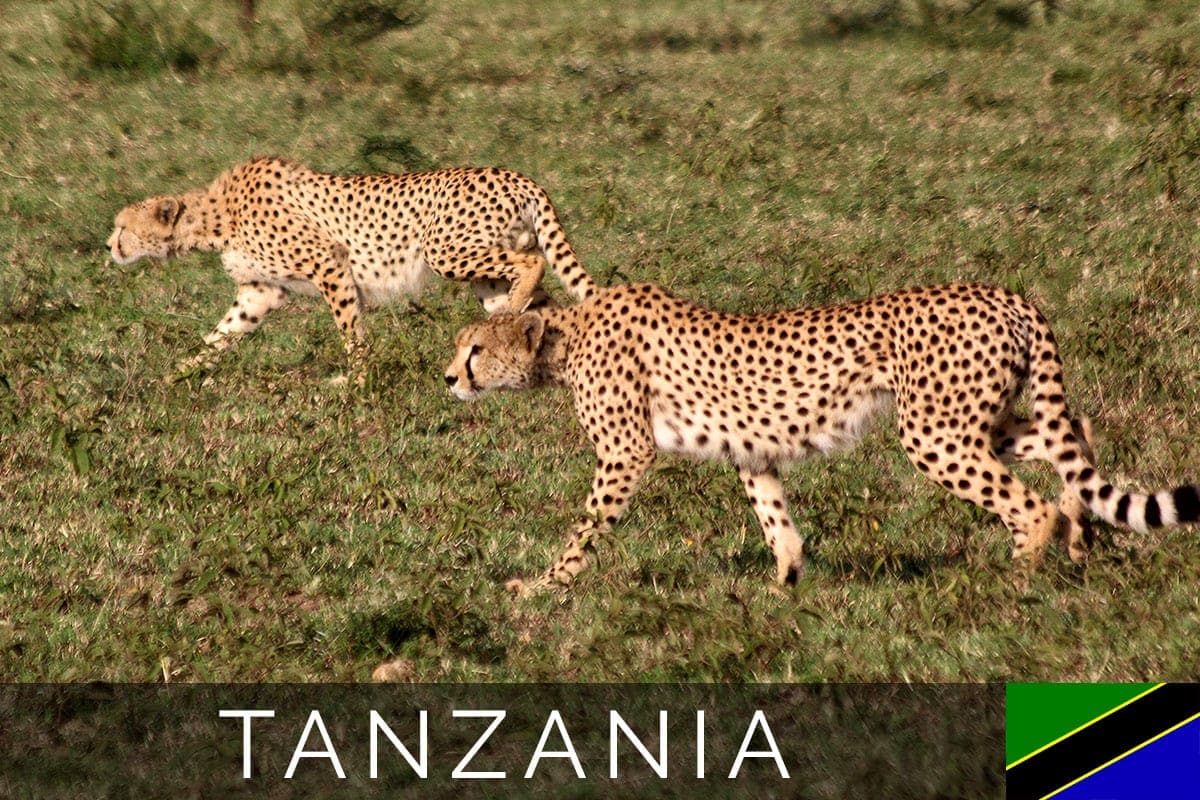 Tanzania North Serengeti Blog Post
