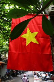 The Vietnamese flag