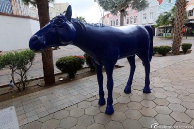 Die blauen Pferde in Oranjestad