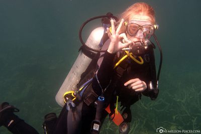 Diving on Ningaloo Reef