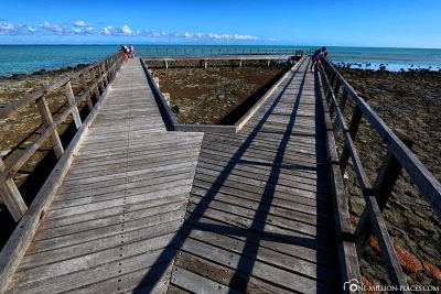 The jetty at Hamelin Pool