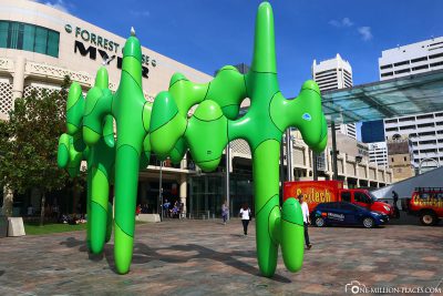 The Cactus at Forrest Place