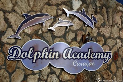 The Dolphin Academy Curacao