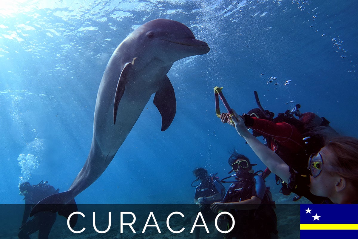 Curacao Ocean Encounters cover
