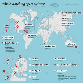Weltweite Whale Watching Spots