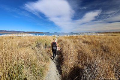Der kurze Wanderweg zum Mono Lake