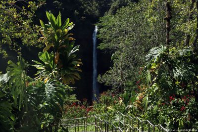View of Akaka Falls