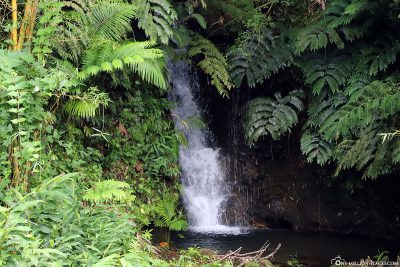 Another small waterfall in the park