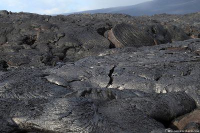 The lava fields of Kalapana