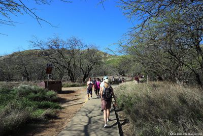 The hiking trail to the crater rim