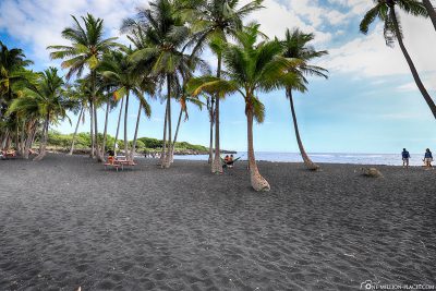 Black sand and palm trees