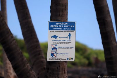 Hinweisschild zur Schildkrötenbeobachtung
