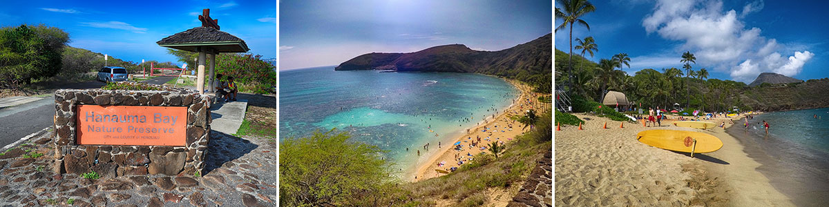 hanauma bay beach