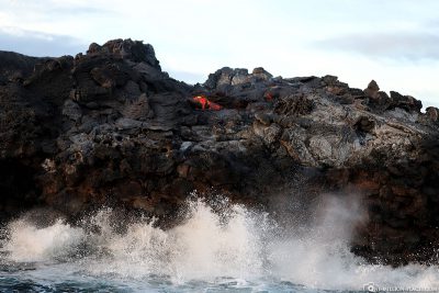 The lava on its way to the sea