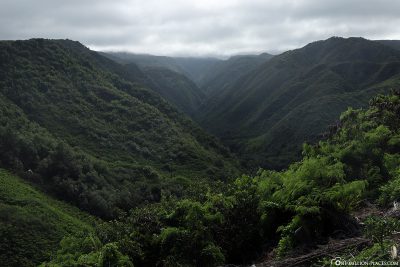 View of the West Maui Mountains
