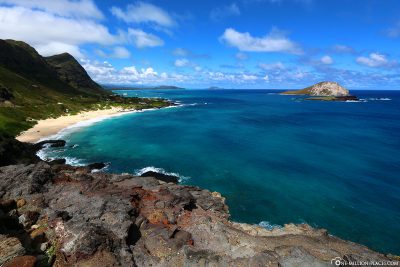 The view from the Makapuu Lookout