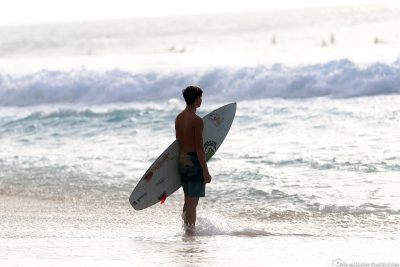 Surfer an der North Shore von Oahu