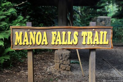 Entrance to manoa Falls Trail