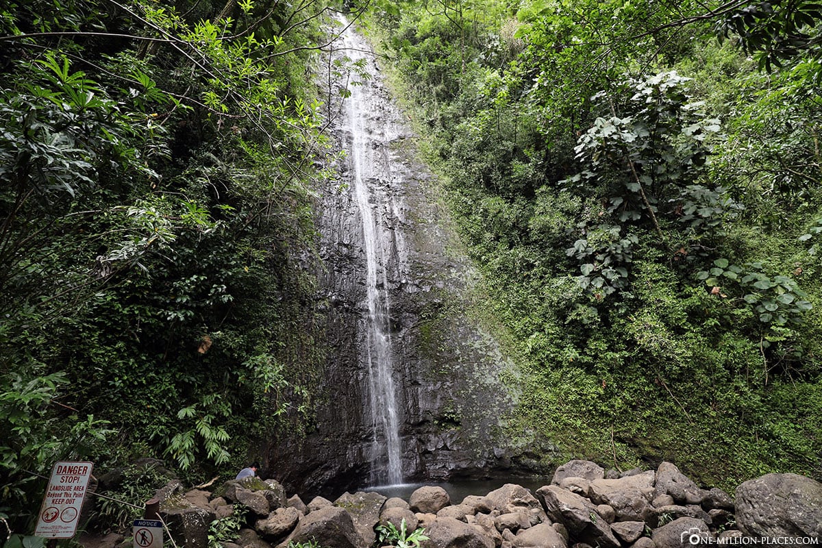 Manoa Falls, Honolulu, Hawaii, USA, Reiseberichte, Fotospot