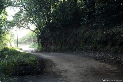 Der teilweise schlecht ausgebaute Piilani Highway